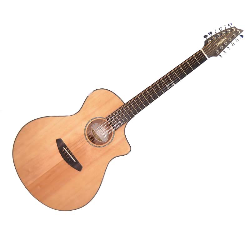 Red Cedar & Mahogany Acoustic Guitar Y16127