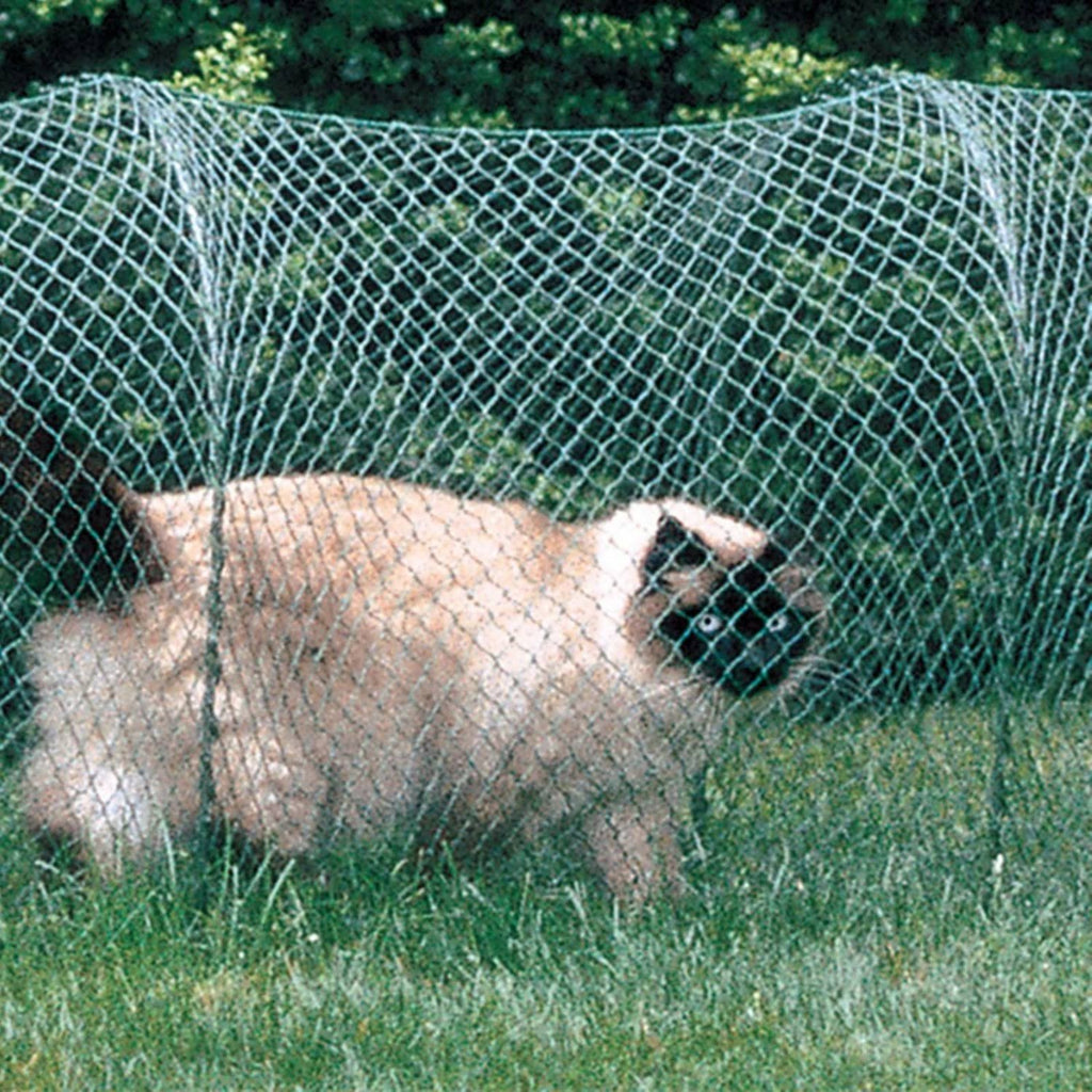 Green Outdoor Cat Enclosure K625