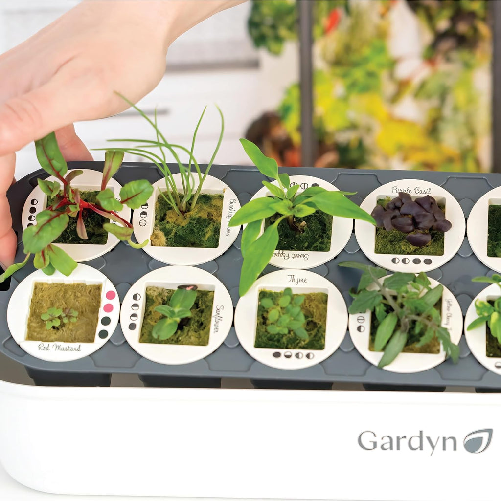 Indoor Garden Seed Starter Tray for Hydroponic Growing Systems J70894