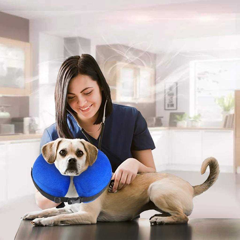 Protective Inflatable Cone Collar for Dogs and Cats C418