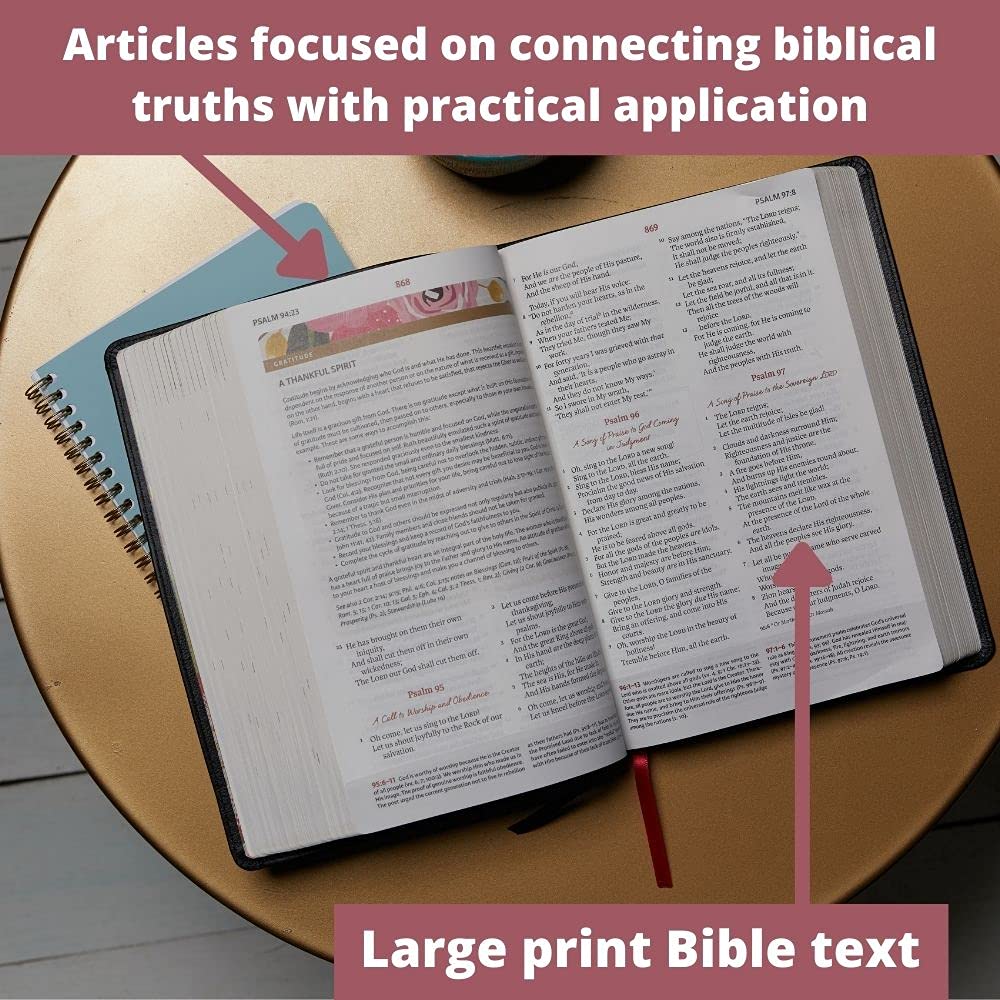 Hardcover Red Letter Full-Color Study Bible U8199