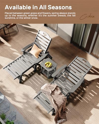 Grey Adjustable 5-Position Chaise Lounge Chair N457825