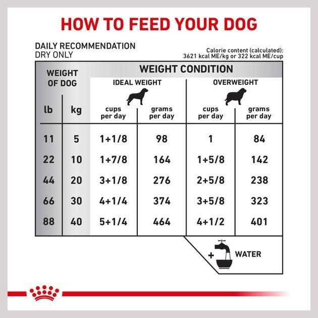 Veterinary Diet Skin Support Dry Dog Food B80515