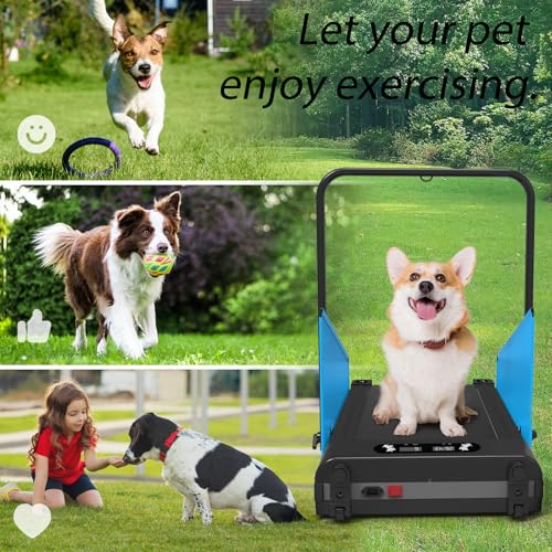 Pet Dog Running Machine with Remote Control F769