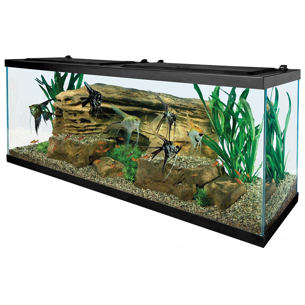 55-Gallon Starter Aquarium with Net J580300