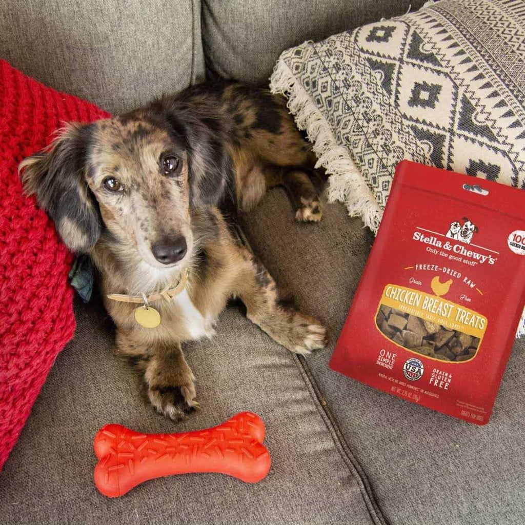 Chicken Freeze Dried Dog Treats U5553