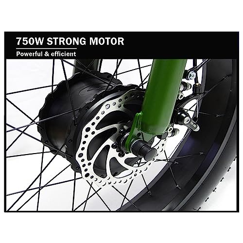 Electric Trike 3 Wheel Electric Bicycle 750W 48V 15Ah Removable Battery S5726