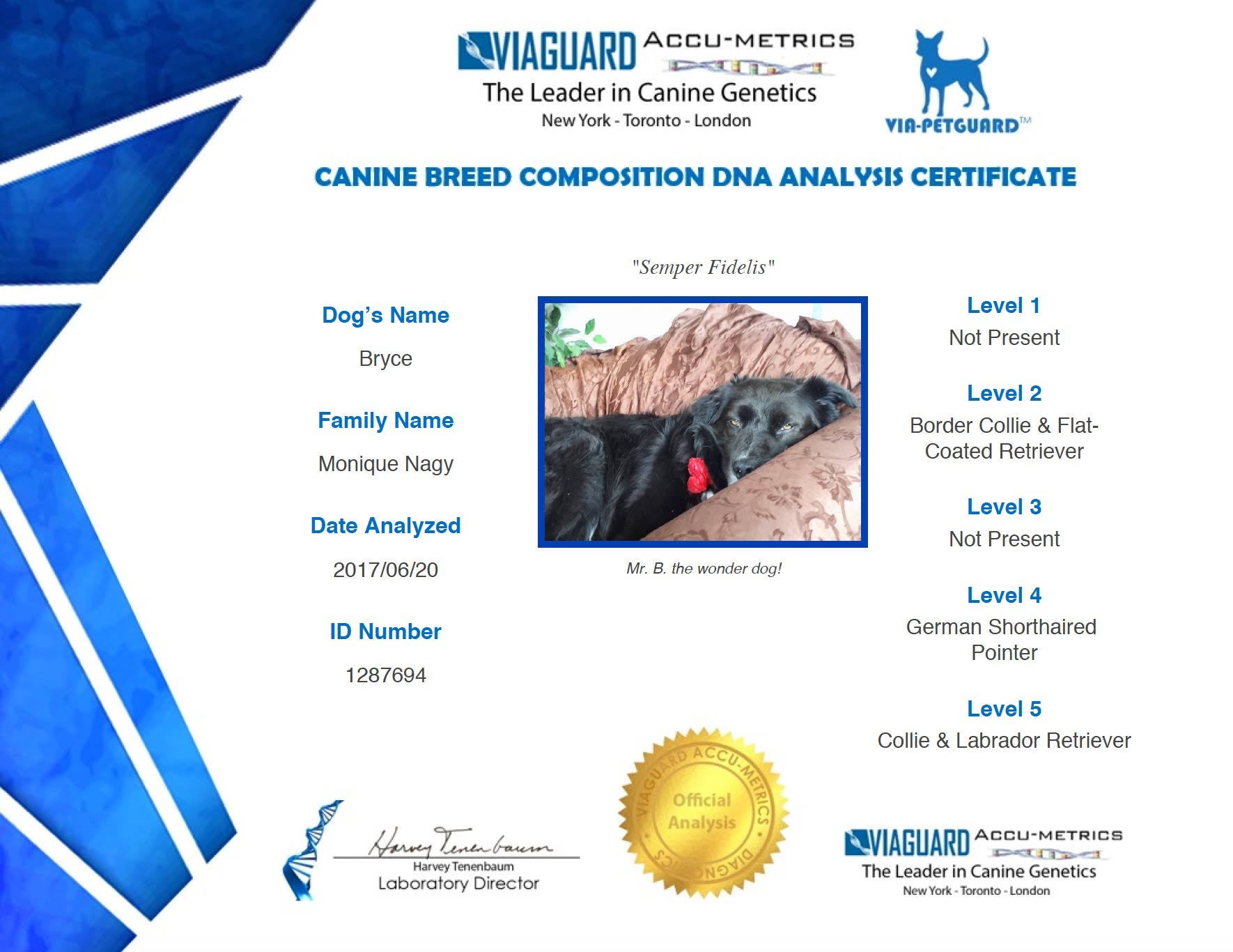 Dog DNA Test Kit I737010