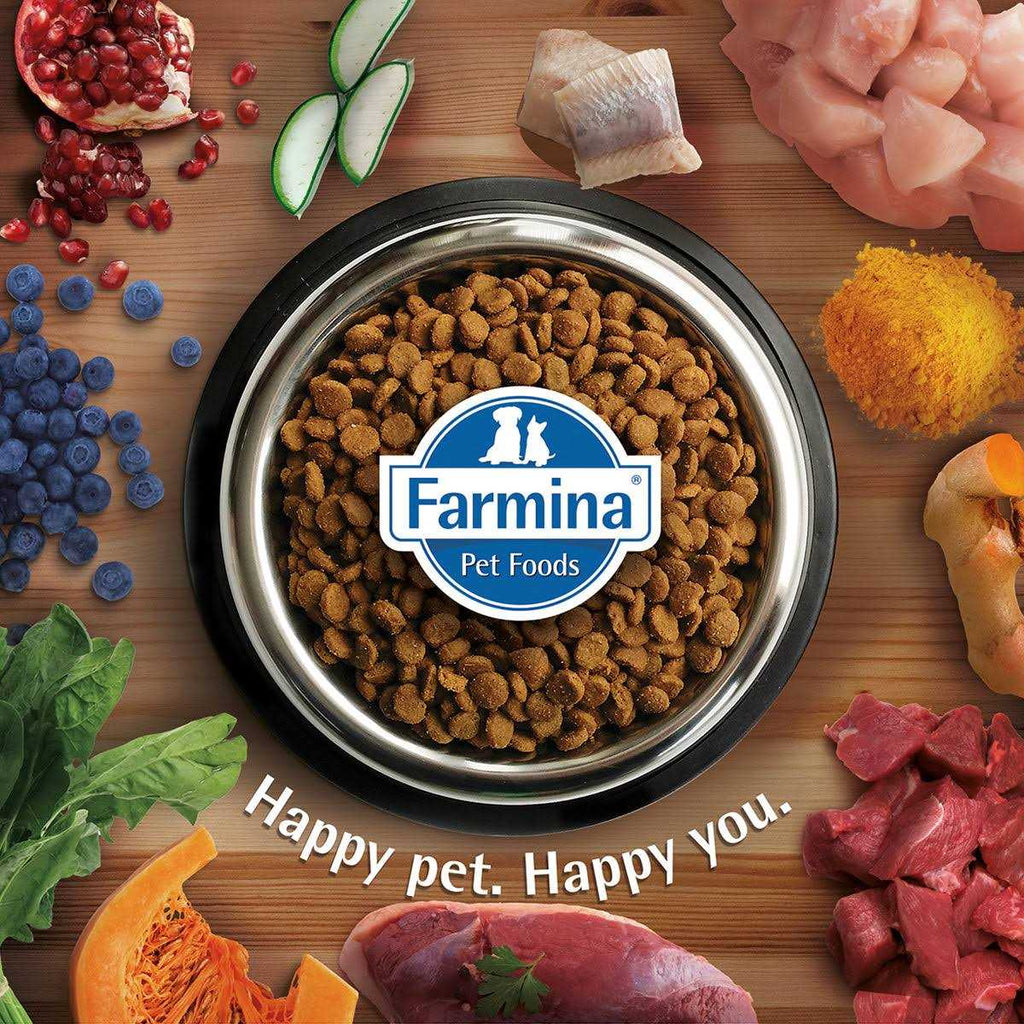 Lamb Dry Cat Food Y76220