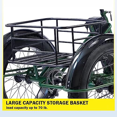 Electric Trike 3 Wheel Electric Bicycle 750W 48V 15Ah Removable Battery S5726