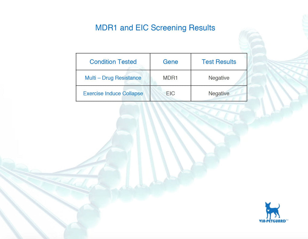 Dog DNA Test Kit I737010