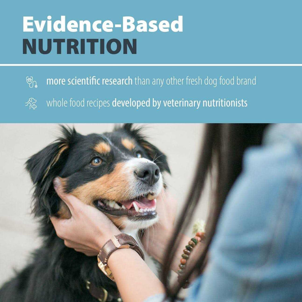 Balanced Remedy Frozen Dog Food U492