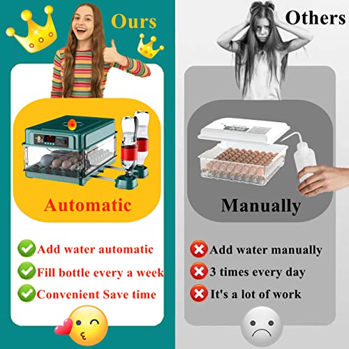 24-60 Eggs Automatic Incubator L202