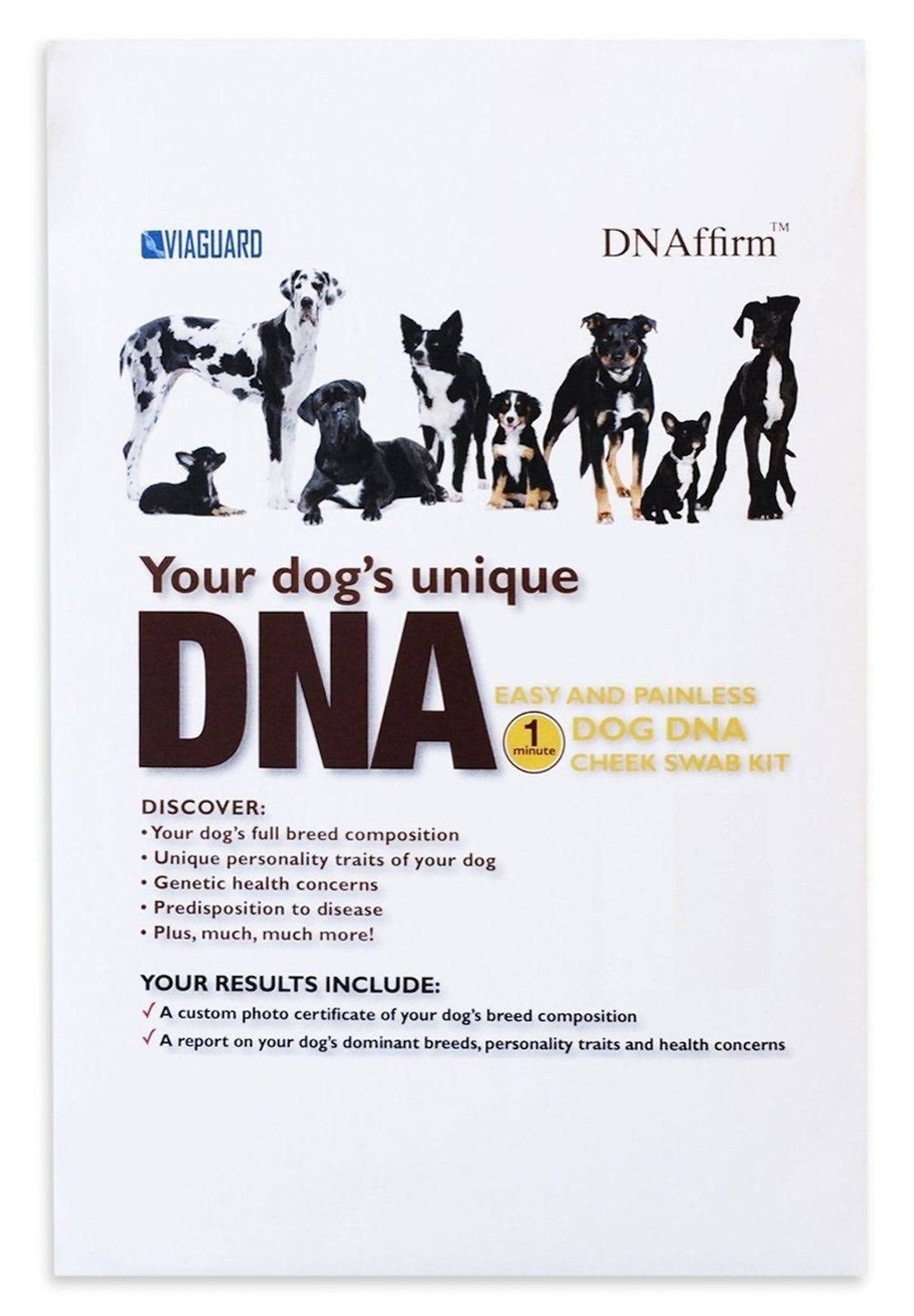 Dog DNA Test Kit I737010