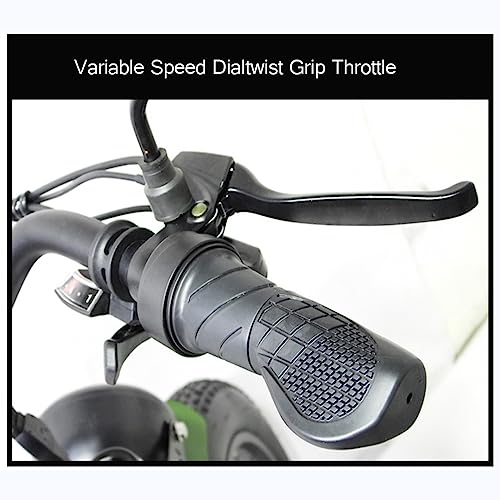 Electric Trike 3 Wheel Electric Bicycle 750W 48V 15Ah Removable Battery S5726