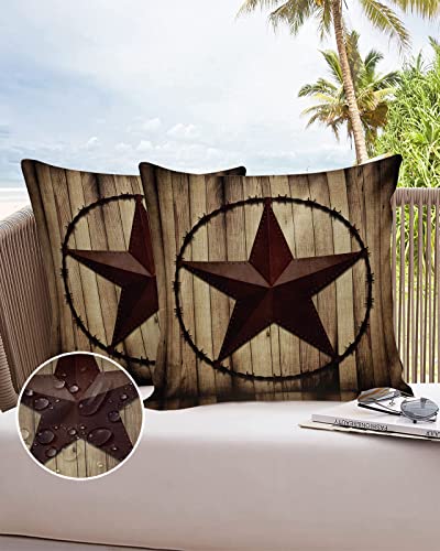 18x18Inch Set of 2 Polyester Waterproof Throw Pillow Covers C181