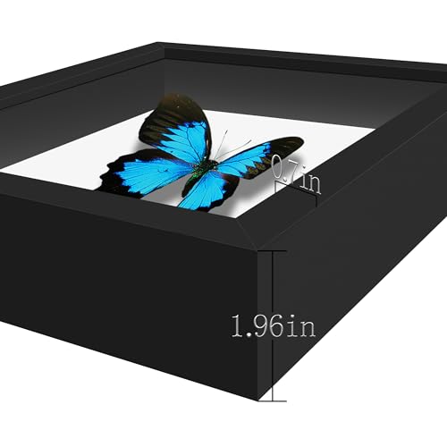 Black Shadow Box Frame 11x14 with Real Glass J89523