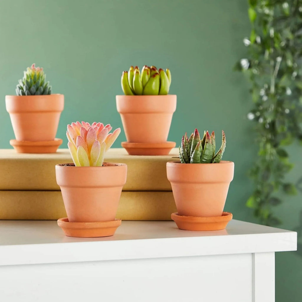 4 Pack 3 Inch Terracotta Pots with Saucer M195292