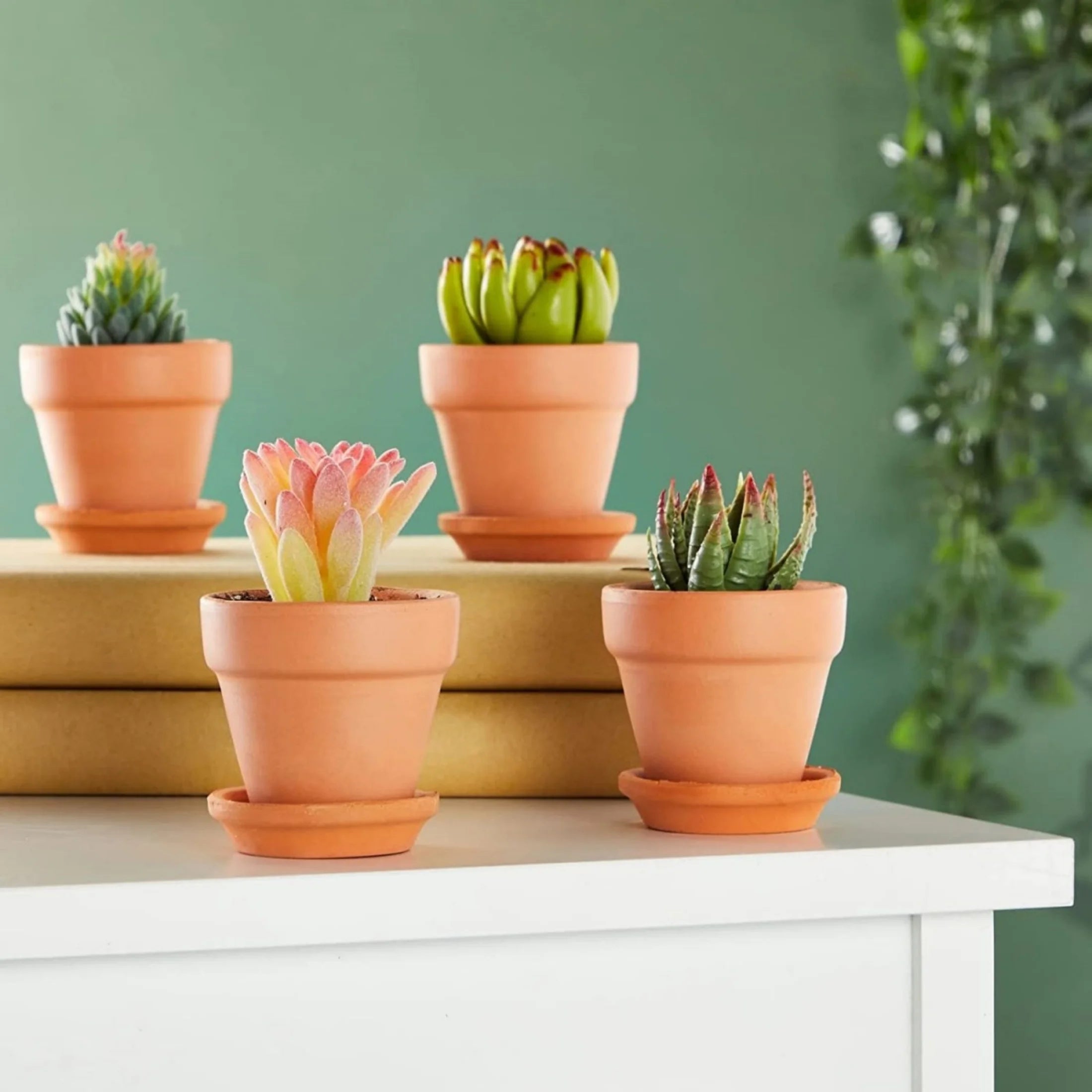 4 Pack 3 Inch Terracotta Pots with Saucer M195292