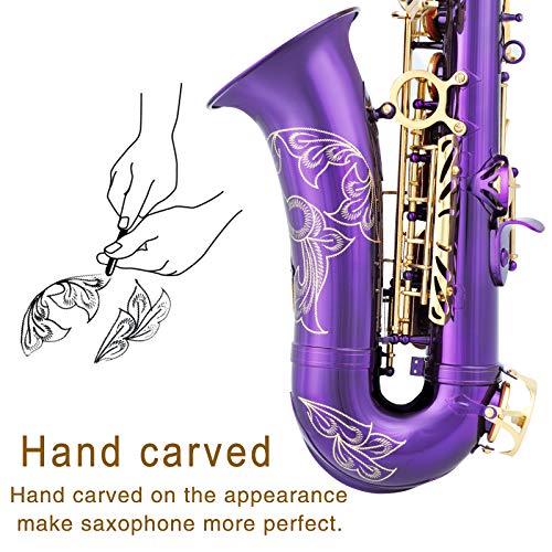 Black/Golden Alto Saxophone E Flat Sax Full Kit with Carrying Case J4573