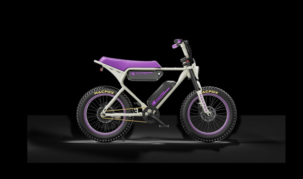 E-bike N806638
