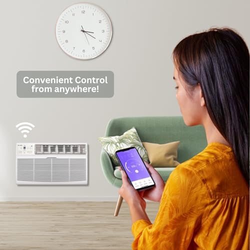 Through-the-Wall Air Conditioner with Remote Control and Smart Kit, Cooling Only (R32 Refrigerant) X111