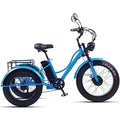 Electric Trike 3 Wheel Electric Bicycle 750W 48V 15Ah Removable Battery S5726