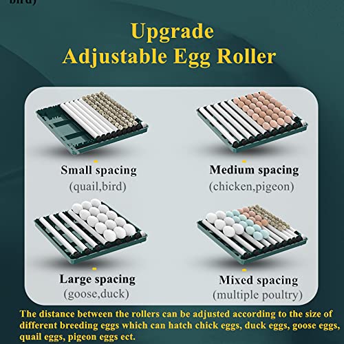 24-60 Eggs Automatic Incubator L202