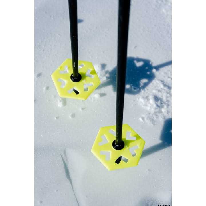 Black Crows Duos Freebird Ski Poles Y35001