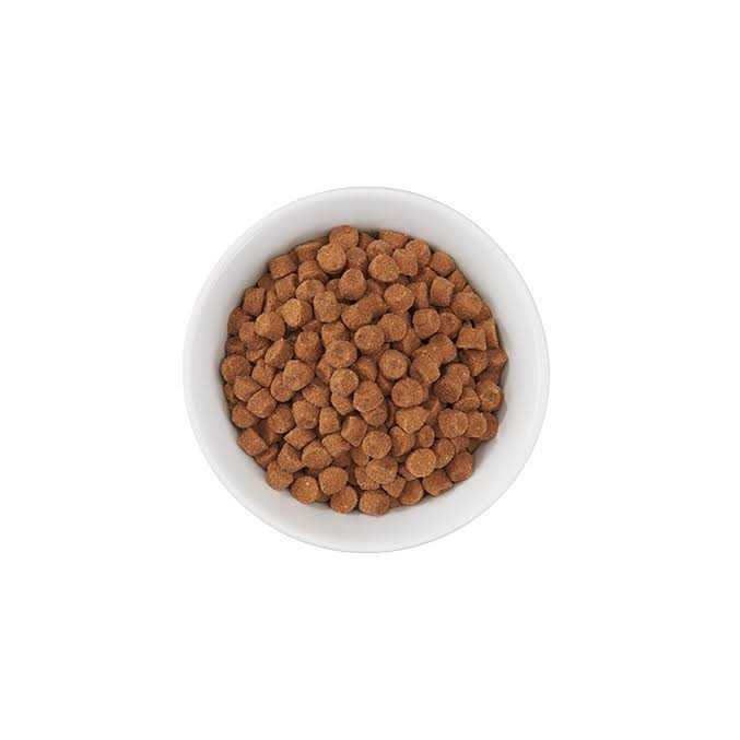 Turkey Light Dry Cat Food D125898
