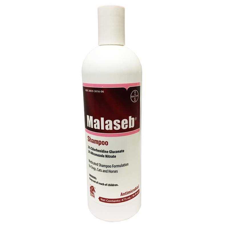 Malaseb Shampoo 16 oz V217562