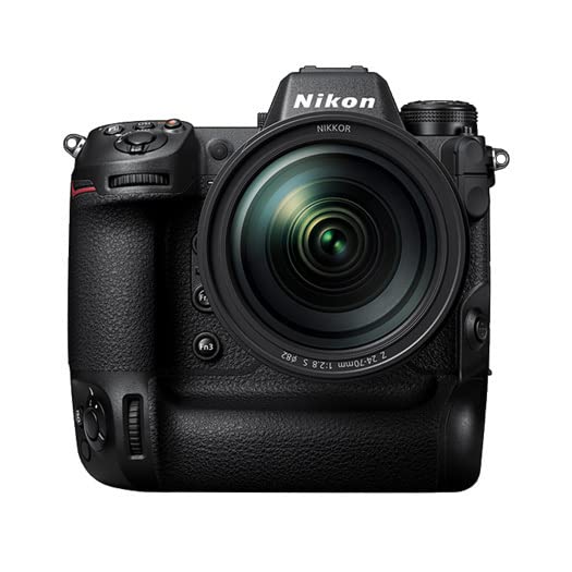 Flagship professional full-frame mirrorless camera Q481932