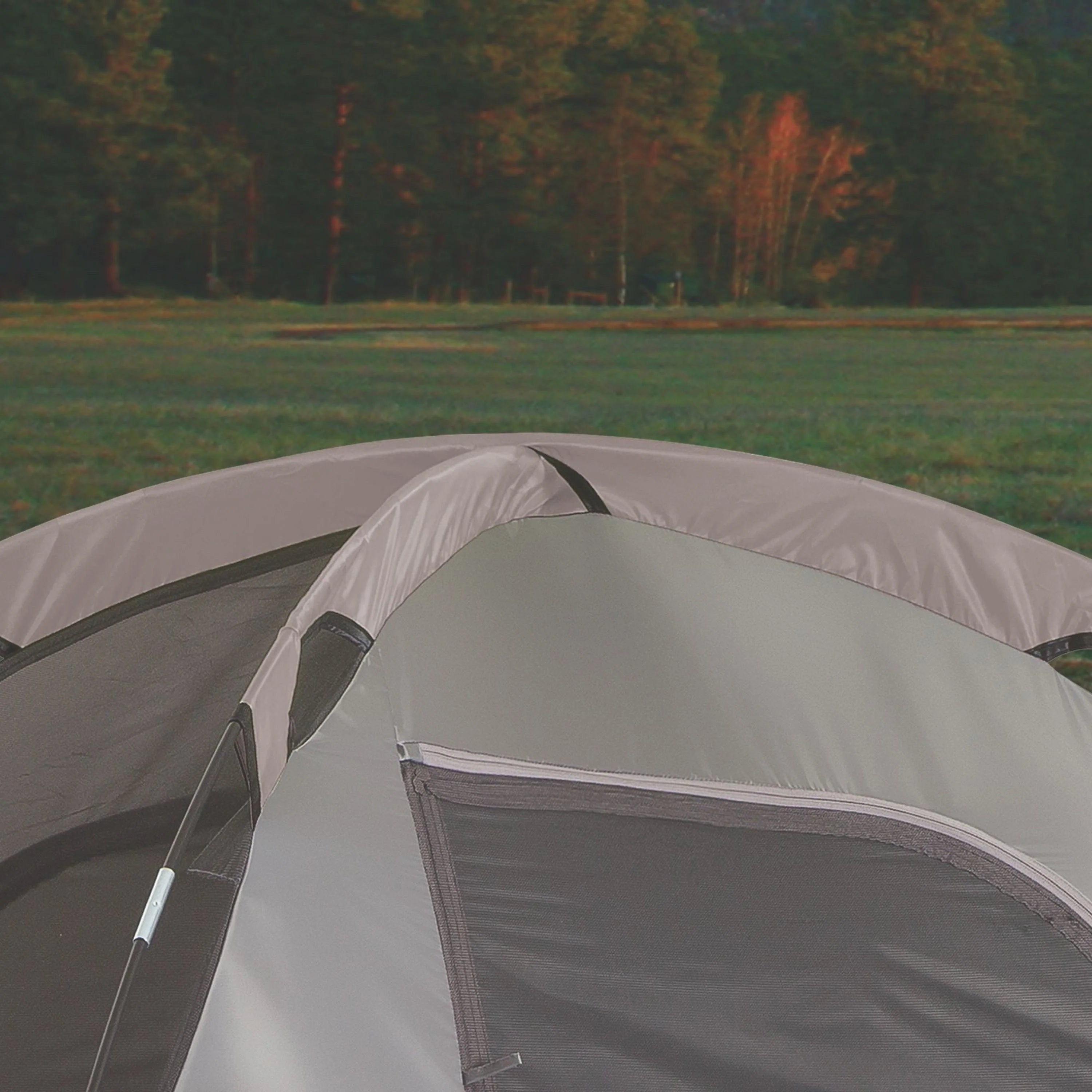 10 Person Tent with Room Divider E516103