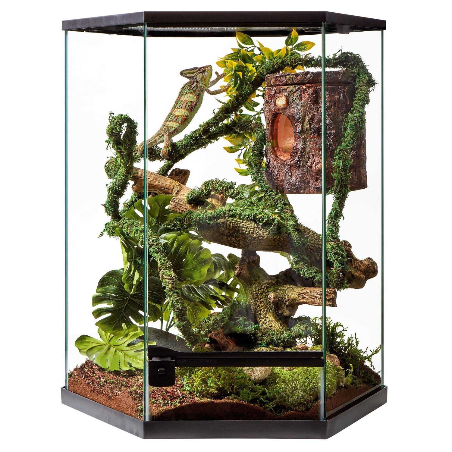 20 Gallon Vertical Hexagon Terrarium E78199