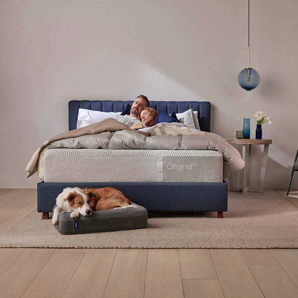 Casper Dog Bed Z28015