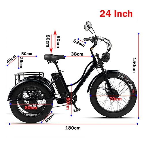 Electric Trike 3 Wheel Electric Bicycle 750W 48V 15Ah Removable Battery S5726