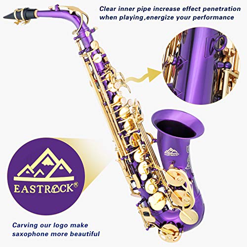 Black/Golden Alto Saxophone E Flat Sax Full Kit with Carrying Case J4573