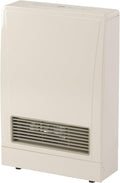 Beige Direct Vent Wall Furnace, 11,000 BTU Propane Heater N6486