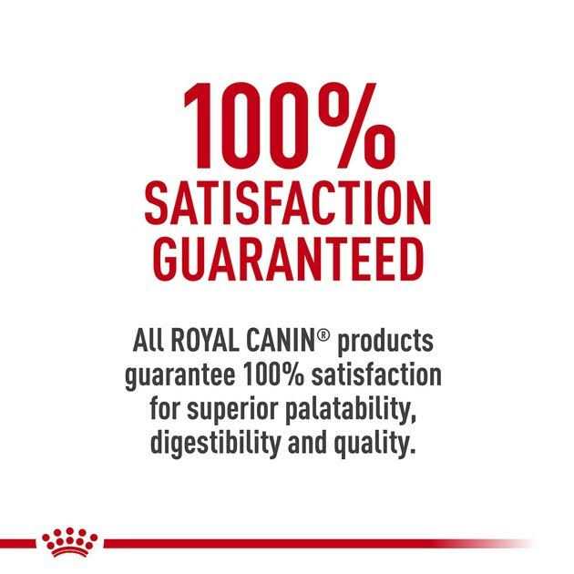 Veterinary Diet Dry Dog Food N374