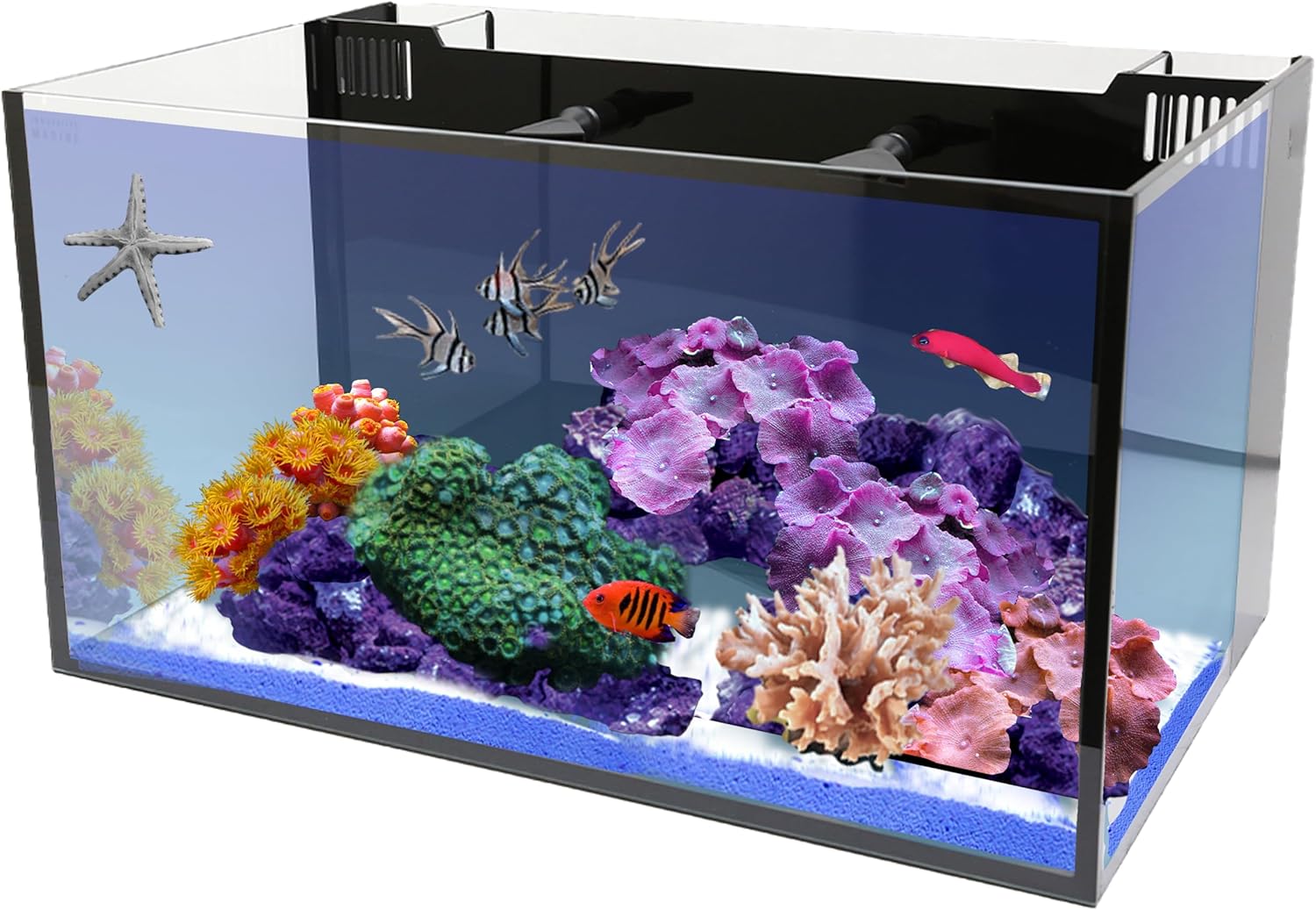 Nano Cube Aquarium I6685