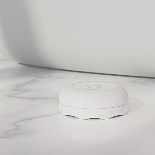 Flood & Freeze Sensor J300