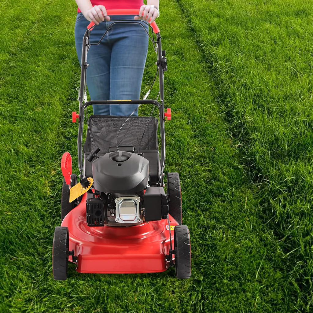 20-inch 173CC Self-Propelled Gas Push Lawn Mower with Bagger M1923