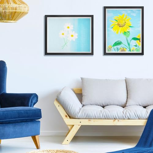 2 Pack 11 x 14in Black Shadow Box Frame with Adhesive Tape T529
