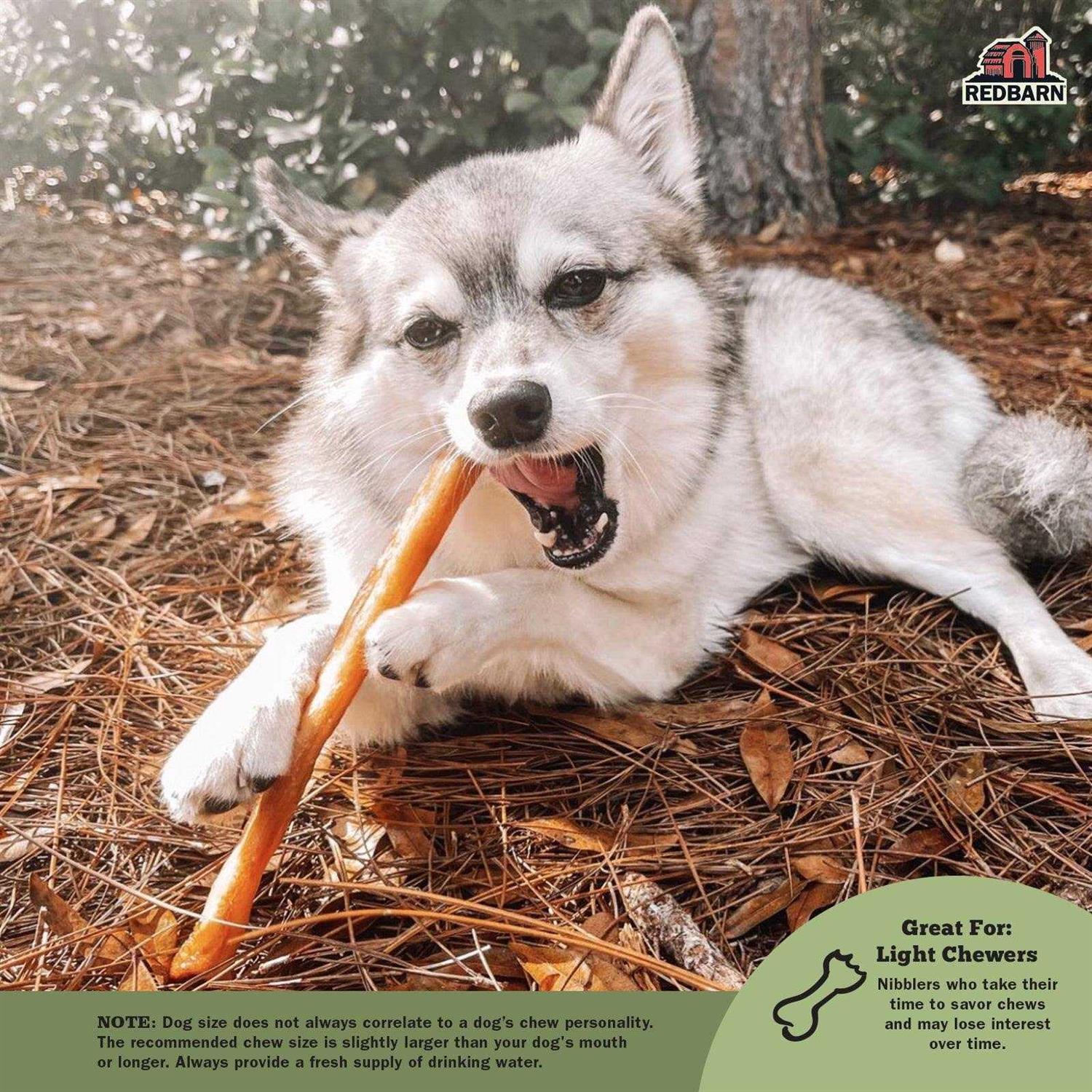 Collagen Stick Pet Supplies Q76181