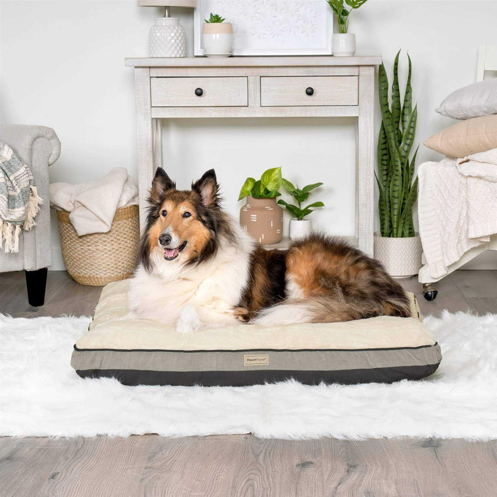 Large Memory Foam Dog Bed with Removable Washable Cover F302454
