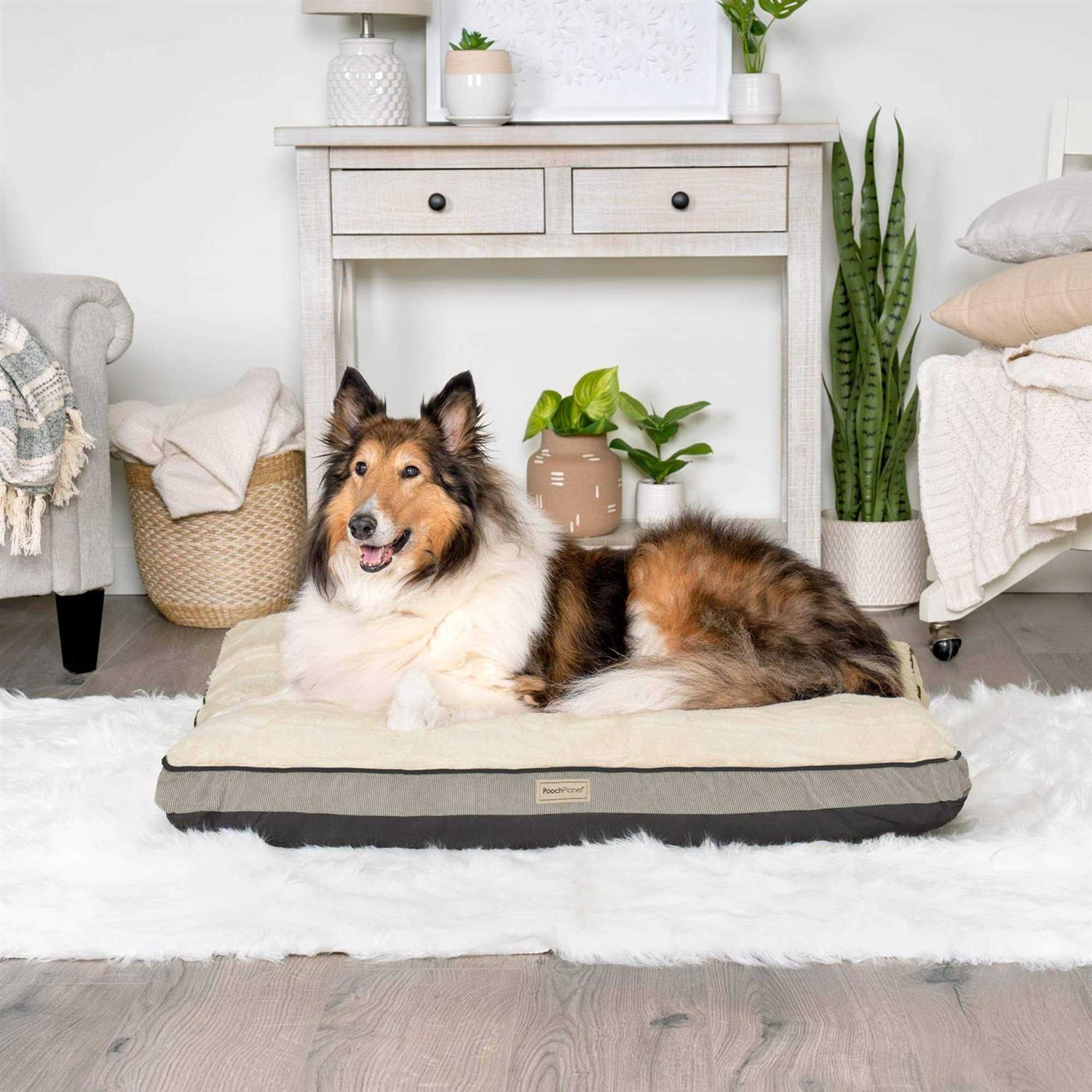 Large Memory Foam Dog Bed with Removable Washable Cover F302454