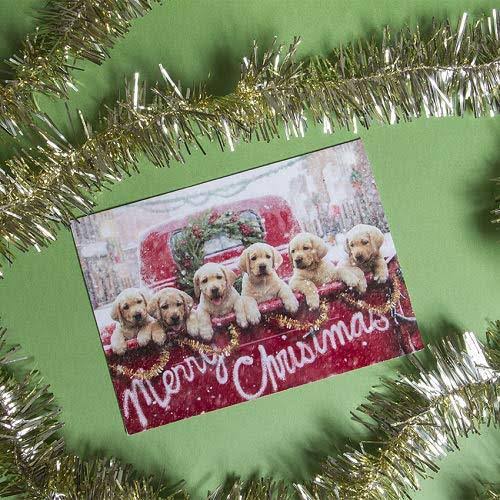 Christmas Cards T568