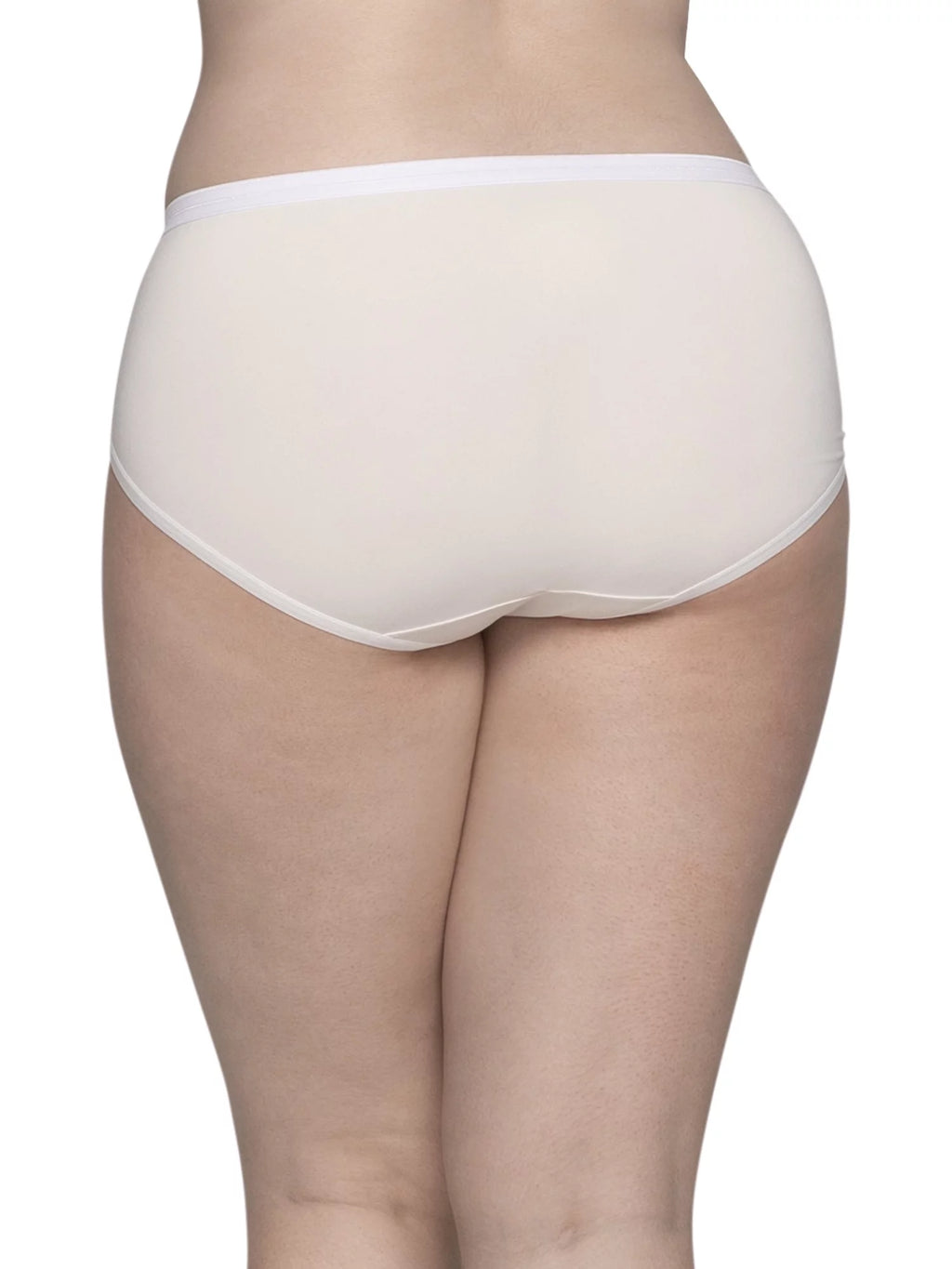 Women's Plus Size Microfiber Brief Underwear, 6 Pack U4643