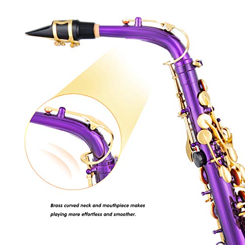 Black/Golden Alto Saxophone E Flat Sax Full Kit with Carrying Case J4573