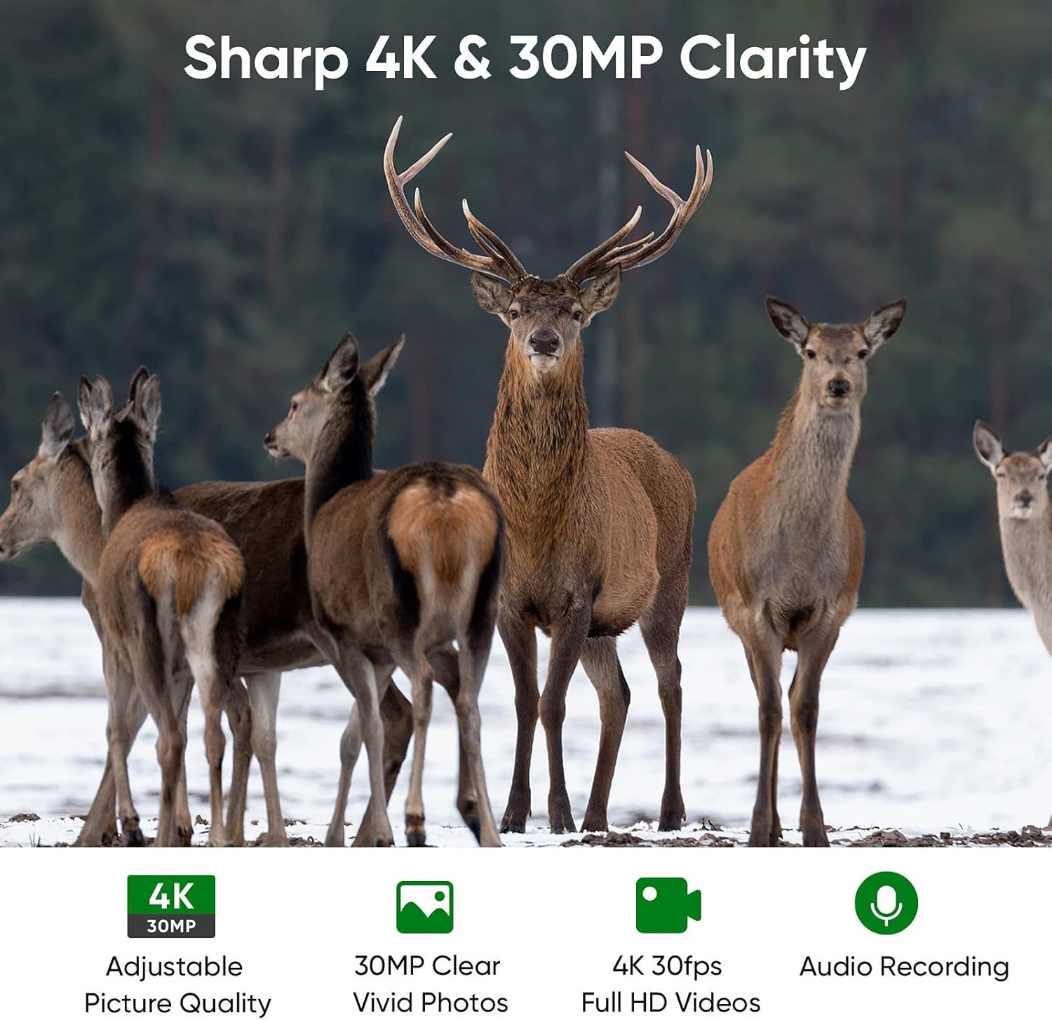 4K 30MP WiFi Trail Camera with 940nm No Glow Night Vision D2897